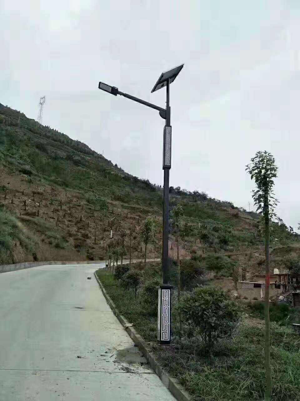 忻城县仿古太阳能路灯
